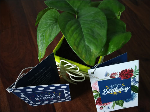 Employee Gifts Nainital